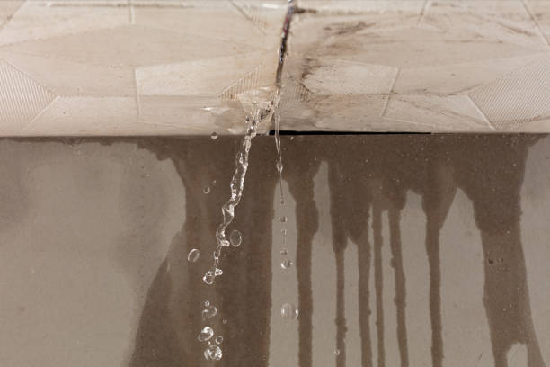 Professional Water Damage Repair technician working in Lytle, TX